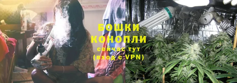 Конопля Ganja  Конаково 